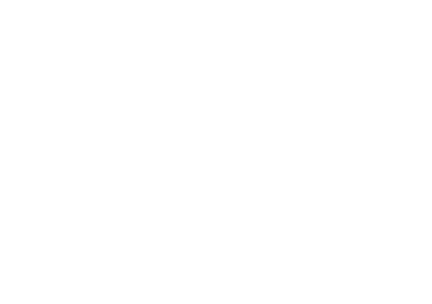 Morion Digital